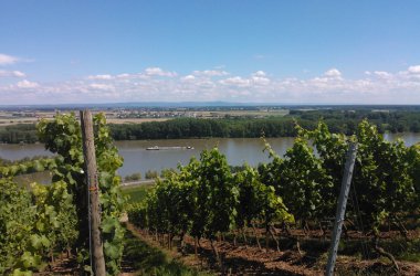 Entspannen in der Weinhochburg Rheinhessen