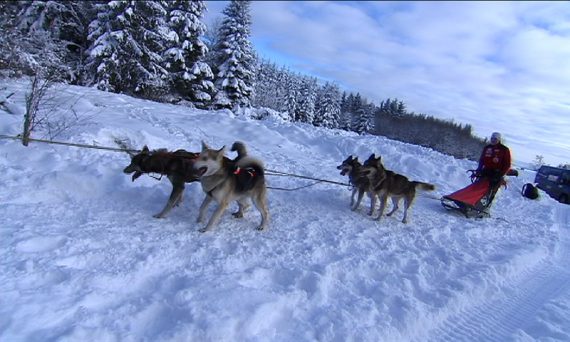 Abenteuerlust: Unterwegs mit den Schlittenhunden