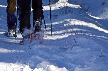 Schneereportage - Wintermärchen auf Baraque Michel