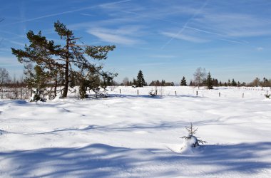 Schneereportage - Wintermärchen auf Baraque Michel
