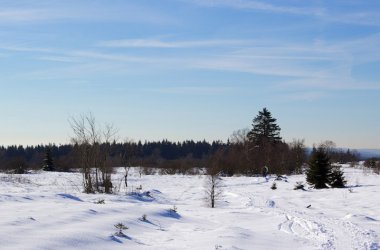 Schneereportage - Wintermärchen auf Baraque Michel