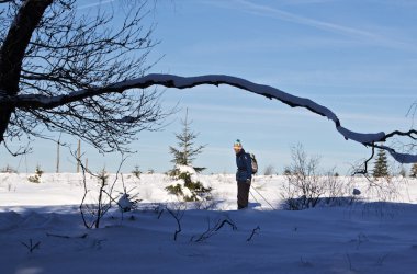 Schneereportage - Wintermärchen auf Baraque Michel
