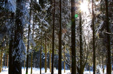 Schneereportage - Wintermärchen auf Baraque Michel