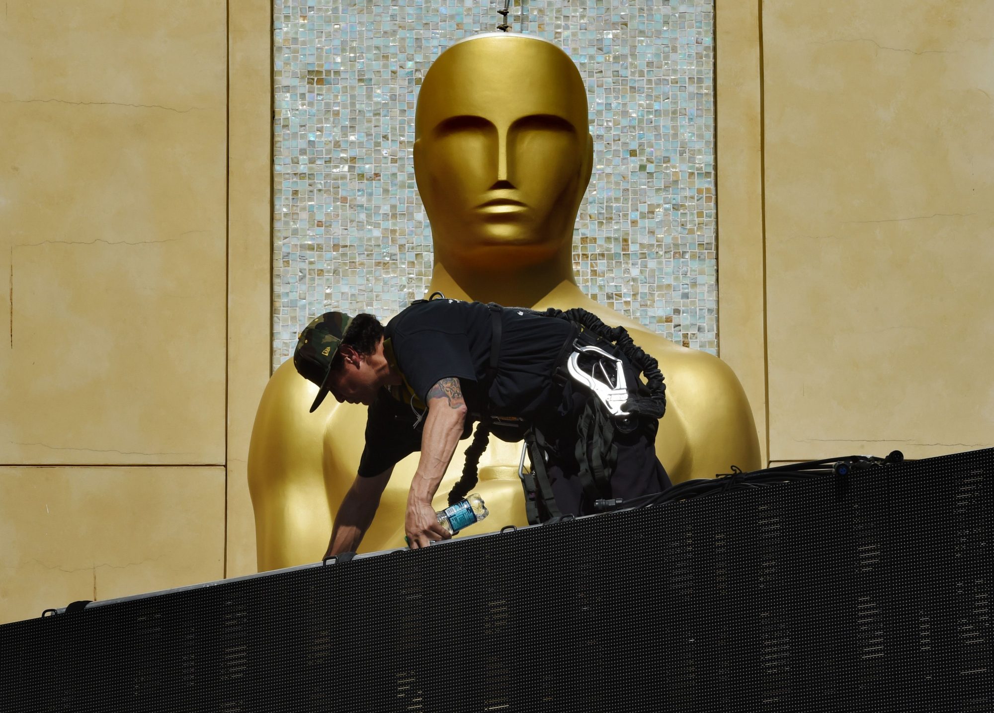 Roter Teppich für die Oscars ausgerollt