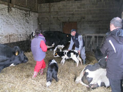 Duo Day: Schnuppertag für Menschen mit Behinderung