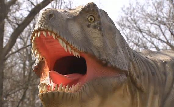Besonders stolz ist der Dinopark auf den T-Rex