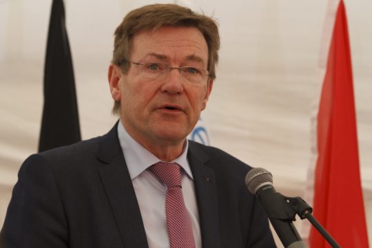 Finanzminister Johan Van Overtveldt