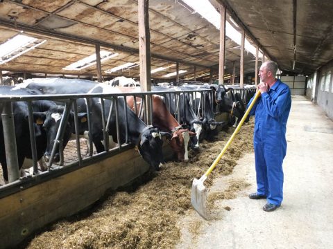 Bilder vom Bauernhof von Leo Mertes in Breitfeld
