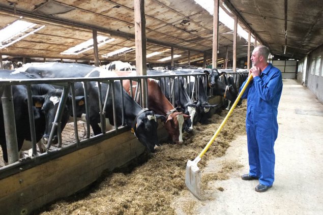 Bilder vom Bauernhof von Leo Mertes in Breitfeld