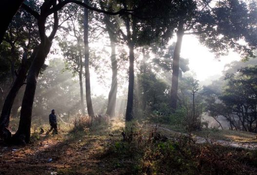 Der Gang ins fitnesstudio ist nicht notwenig: auch in der Natur lässt sich der Köper auf Vordermann bringen (Illustrationsbild: Jogger in Nepal)