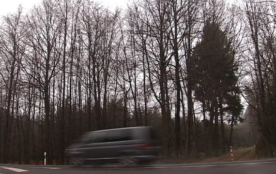 Im Münsterwald an der Himmelsleiter soll ein Windpark errichtet werden