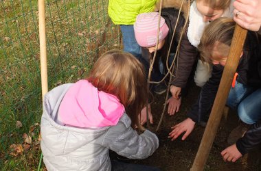 Baumpflanzaktion in Malmedy