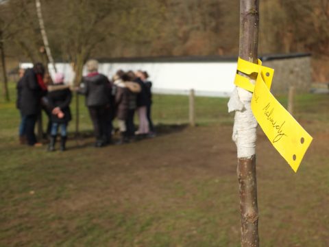 Baumpflanzaktion in Malmedy