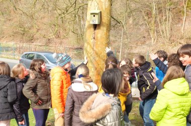 Baumpflanzaktion in Malmedy