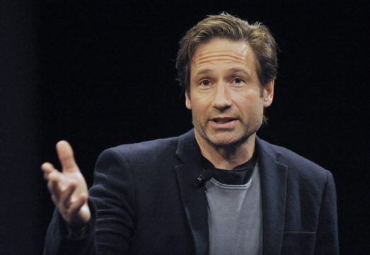 David Duchovny (2011)