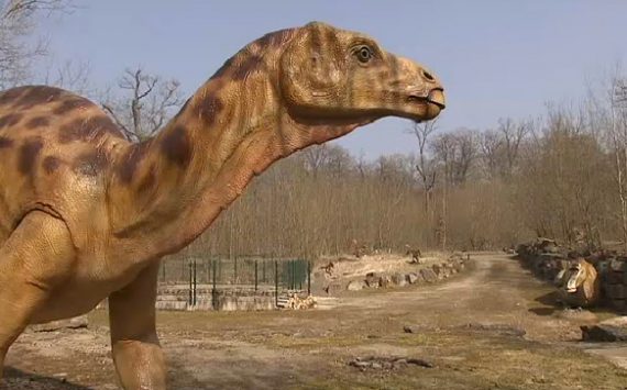 Im Dinopark in der Teufelsschlucht