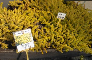 Journée hortidécouvertes