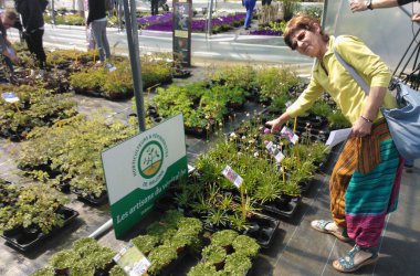 Journée hortidécouvertes