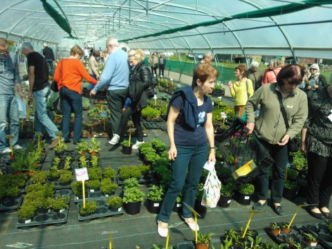 Journée hortidécouvertes