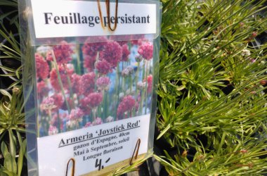 Journée hortidécouvertes