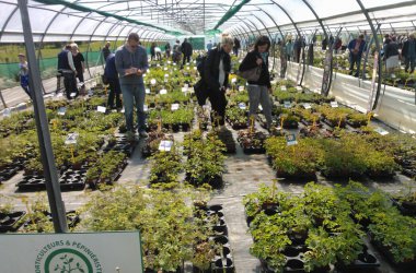 Journée hortidécouvertes