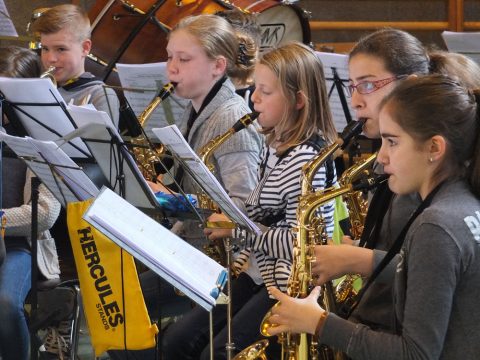 "Play-In Junior Edition" des Verbandes Födekam (April 2015)