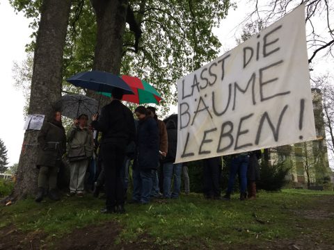 Protestaktion gegen Abholzung im Eupener Friedenspark