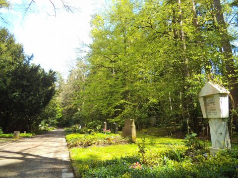 Weniger "Waldfriedhof" (wie hier in Aachen) als "FriedWald": Gemeinde Burg Reuland denkt an Urnenbestattung in der Natur