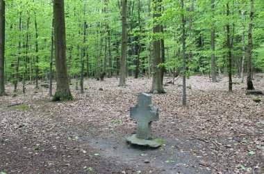 Das Kever-Kreuz im Aachener Wald