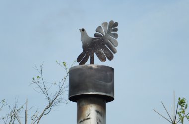 Der Naturpark Hohes Venn-Eifel bittet seine Bewohner um ihre Meinung