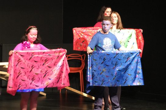 Zentrum für Förderpädagogik zum Abschluss Gastgeber bei einem europäischem Comenius-Projekt