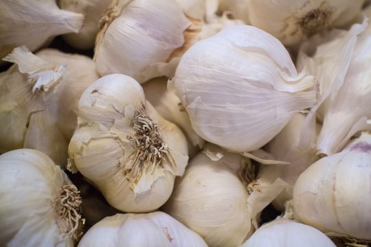 Jeanne Louise Calment, die 122 Jahre alt wurde, setzte unter anderem auf Knoblauch