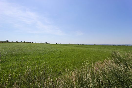 Walhorner Feld: Hier wollte EDF-Luminus einen Windpark errichten