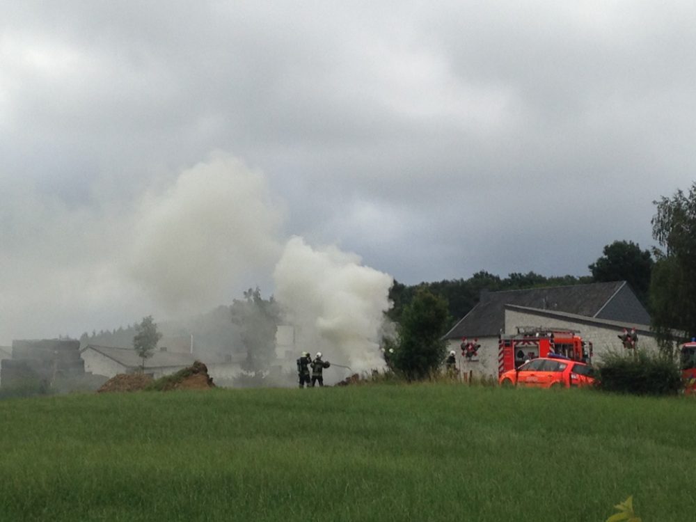 Vermeintlicher Hausbrand in Kettenis entpuppt sich als Heckenfeuer