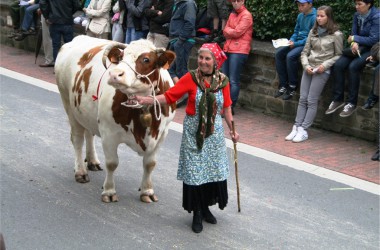 Sommerfest in Amel: Bäuerin mit Kuh