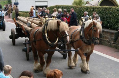 Sommerfest in Amel: Langholz-Doppelgespann