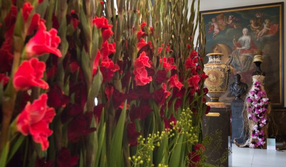 Kein Blumenteppich, dafür aber Flowertime 2015 in Brüssel