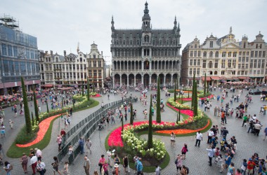 Kein Blumenteppich, dafür aber Flowertime 2015 in Brüssel