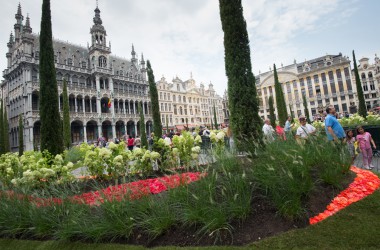 Kein Blumenteppich, dafür aber Flowertime 2015 in Brüssel