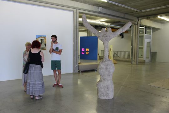 Ausstellung zum Ikob-Preis 2015 - Preisträgerin Delphine Deguislage (Namur/Brüssel)