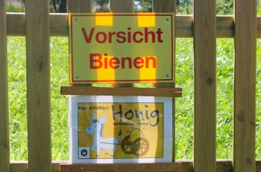 Leidenschaft für Bienen: Zwei Hobby-Imker in Rocherath