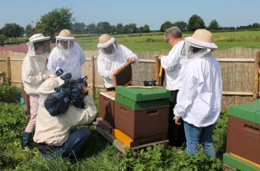 Leidenschaft für Bienen: Zwei Hobby-Imker in Rocherath
