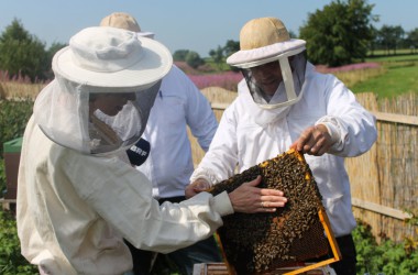 Leidenschaft für Bienen: Zwei Hobby-Imker in Rocherath