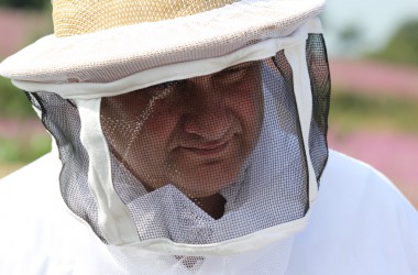 Leidenschaft für Bienen: Zwei Hobby-Imker in Rocherath