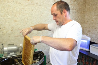 Leidenschaft für Bienen: Zwei Hobby-Imker in Rocherath