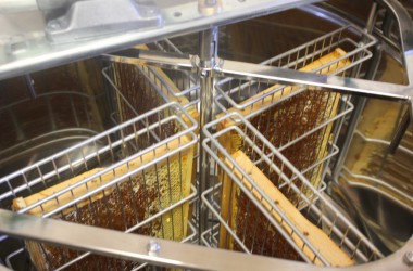 Leidenschaft für Bienen: Zwei Hobby-Imker in Rocherath
