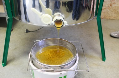 Leidenschaft für Bienen: Zwei Hobby-Imker in Rocherath