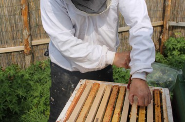 Leidenschaft für Bienen: Zwei Hobby-Imker in Rocherath