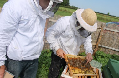 Leidenschaft für Bienen: Zwei Hobby-Imker in Rocherath