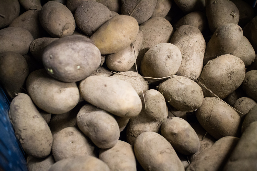 Belgische Kartoffeln (Archivbild: Siska Gremmelprez/Belga)